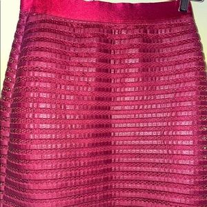Red Express Skirt